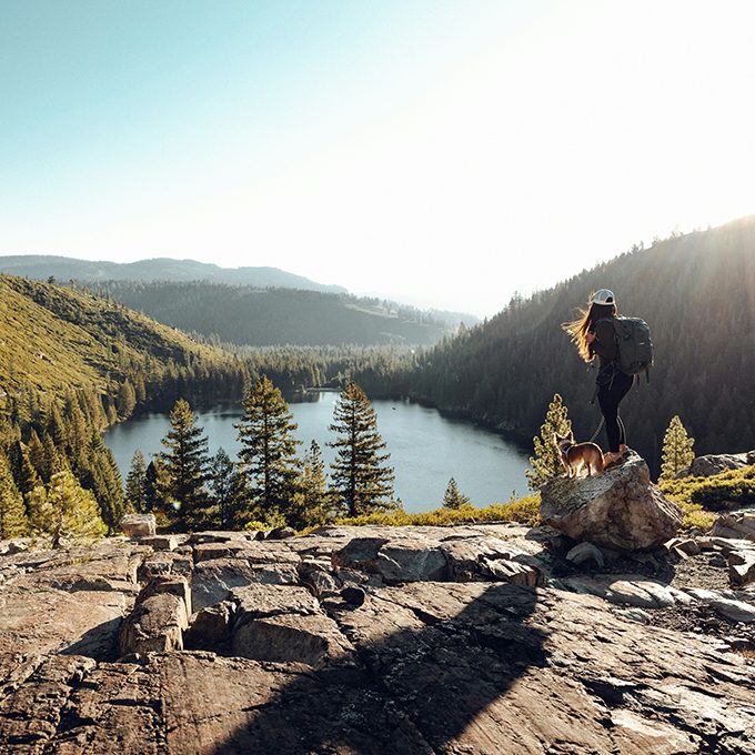 Person with dog hiking on rocky path overlooking mountain lake.